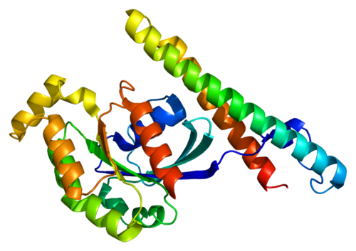 Protein kinase N1